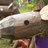 horsy