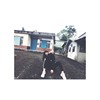 苏