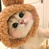 轩