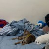 桦