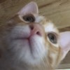 hua