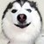 luoshiyin