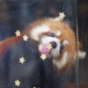 hi 花椒