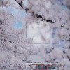 带