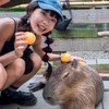 恩恩