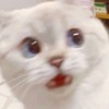 冰沙