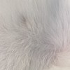 RiceCake