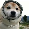 望河川