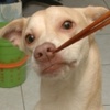 曾小东