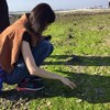 陈映竿