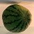 Guava