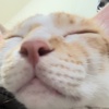 isaacwu0907