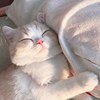 不是关羽