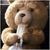 SugarTeddy
