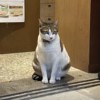 湿滑