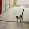 斤欠八