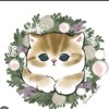 日本的猫咪