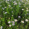 杰克芬恩
