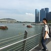 郑又嘉