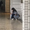 阿蓁蓁