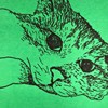 小猫麦西西