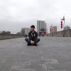 木光