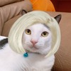 猪排男友