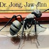 jawjinn