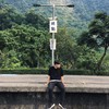 萧凤梨