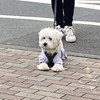 jenny_lu