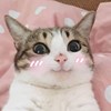 Shiftajerry