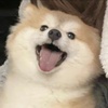 hey+1