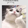 jim020591