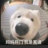 世界冠军