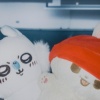 jing_0331