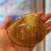 I'm 贝壳