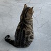 克里狮奶酒