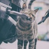不见人