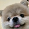 jocelynjo