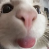 XiAnG_