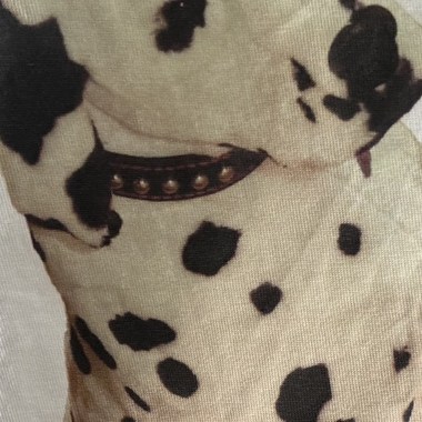 躺床纪事@@爱的躁郁ㄓㄥˋ