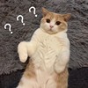 黄