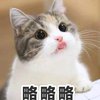 jun_yang_wu