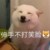 滑行跑道