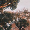 杨谚珽