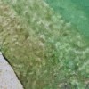 flyash_cu