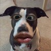 ?️