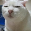 kishiG