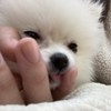 karry_yuen