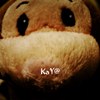 kaya320